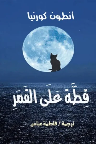 قطة على القمر