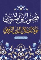 فصول من المثنوي