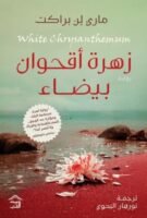 زهرة أقحوان بيضاء