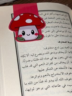 بوك مارك مغناطيسي - 13