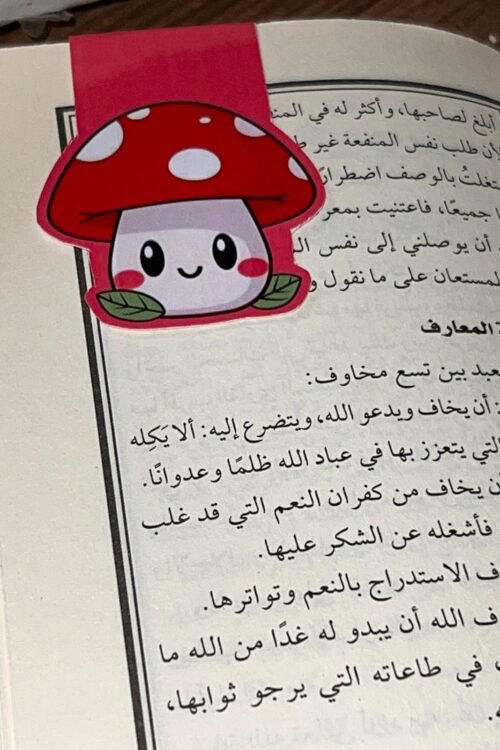 بوك مارك مغناطيسي - 13