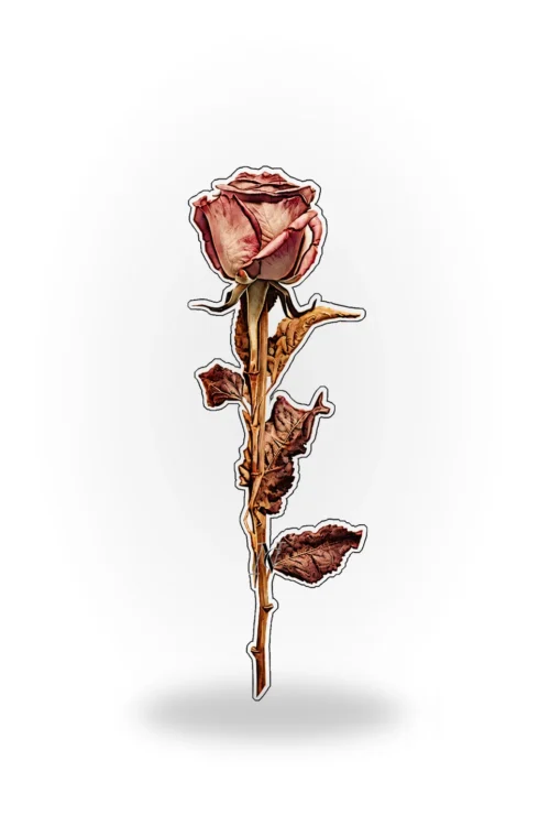 Book Mark -Pink dry flower