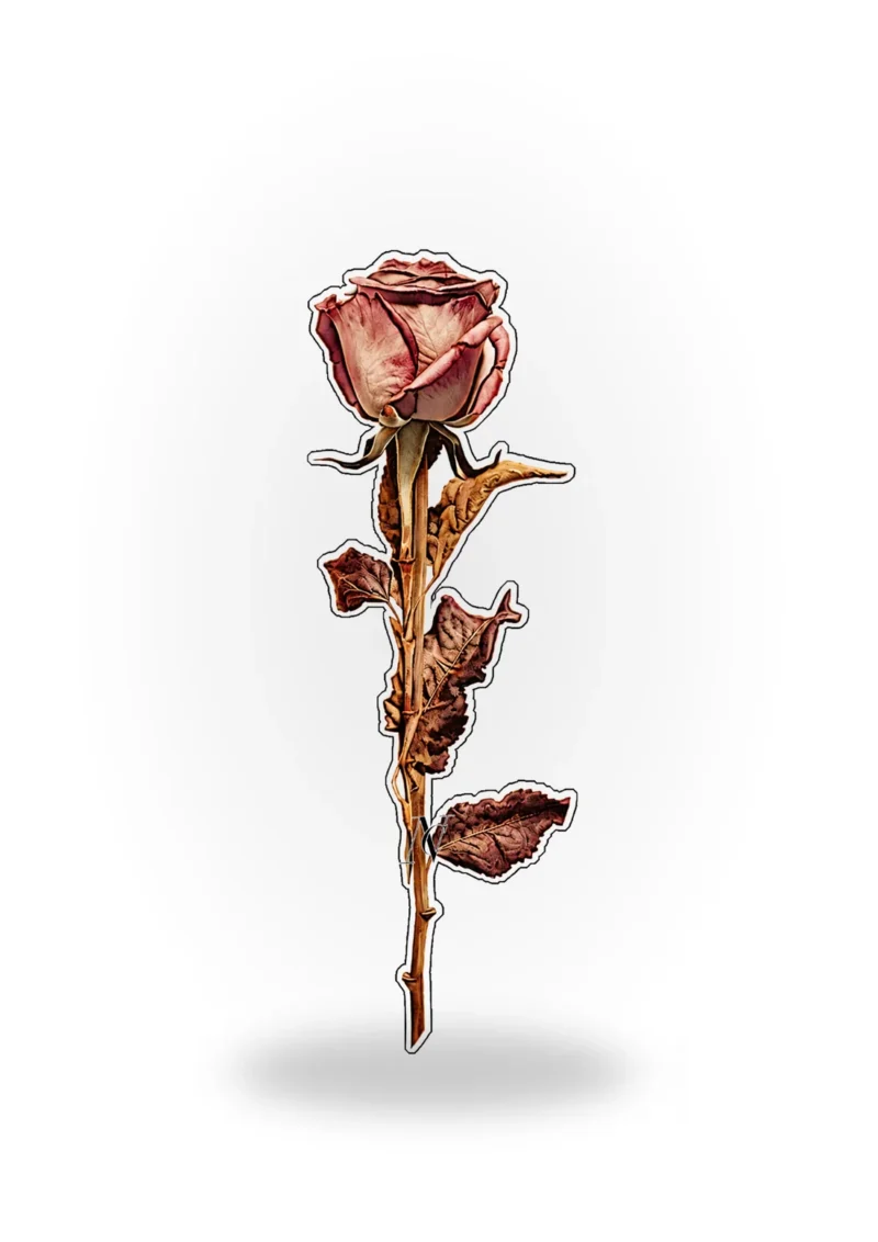Book Mark -Pink dry flower